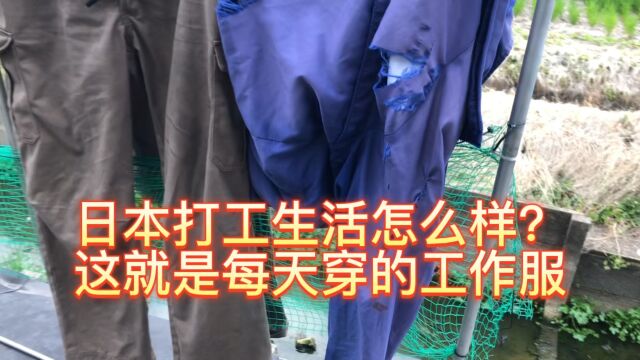 看看我在日本的工作服