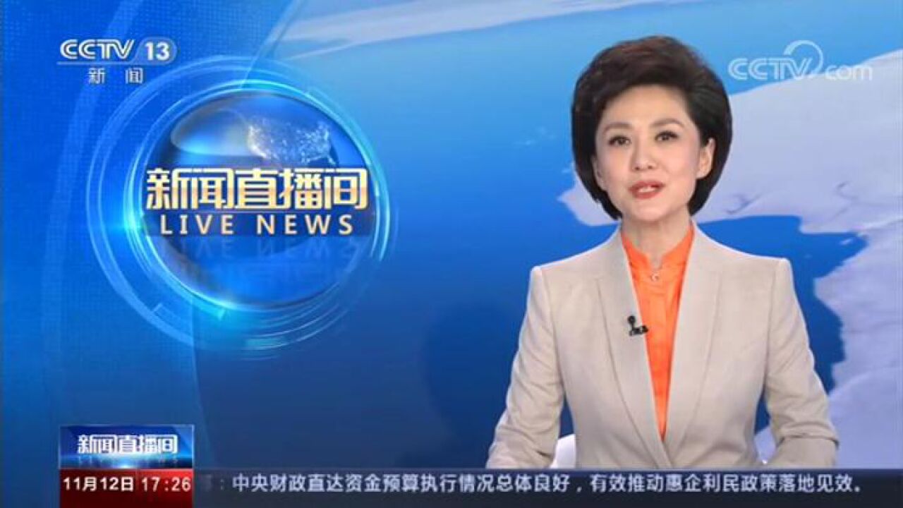 CCTV13《新闻直播间》-余总采访_高清1080P在线观看平台_腾讯视频