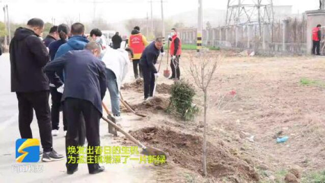 “植”此青绿!400余株红叶石楠、高杆樱花扮靓枣庄市市中区孟庄镇道路