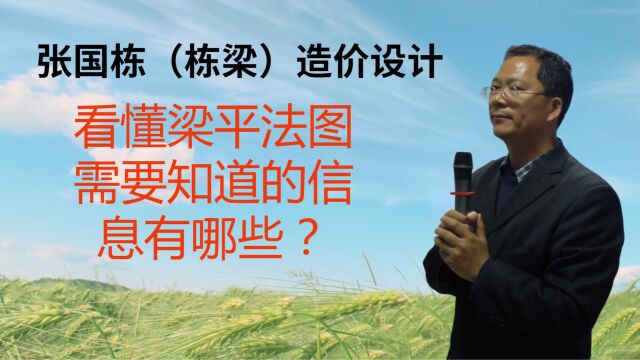 张国栋(栋梁)造价设计:看懂梁平法图需要知道的信息有哪些