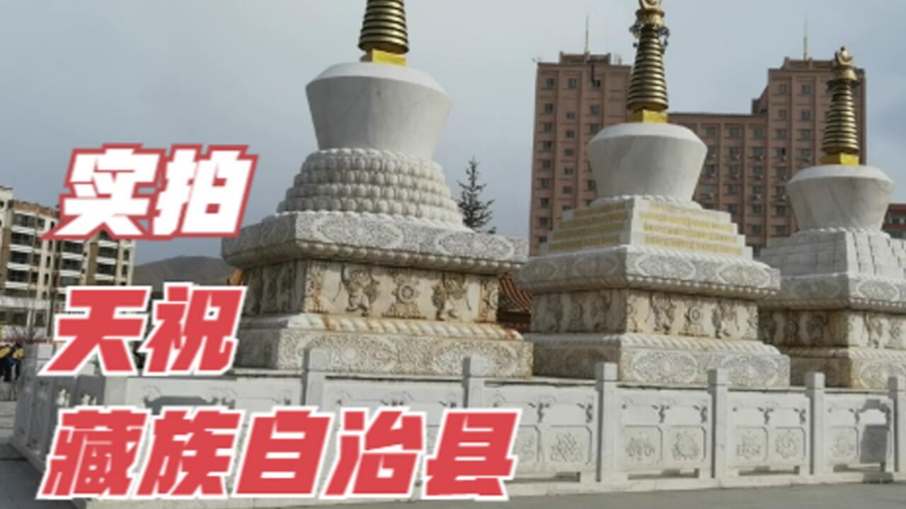 徒步八公里,实拍天祝藏族自治县,参观华藏寺,感受浓浓藏族风情