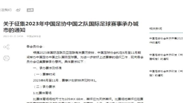 中国足协征集主场比赛城市,国足本年赛事计划获确认