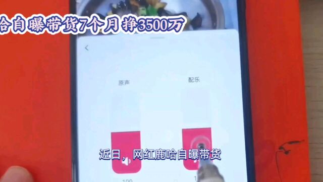 网红带货7个月挣3500万