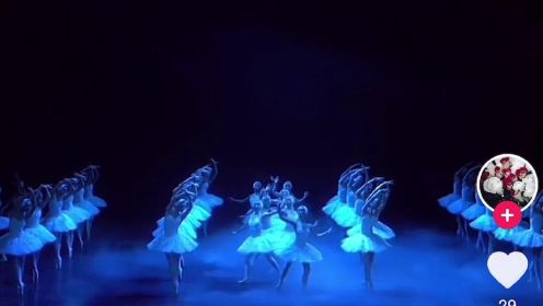 芭蕾舞-天鹅湖四幕