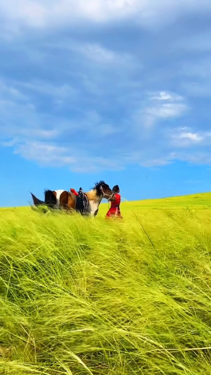 《纯音乐～马头琴.策马蓝天》清馨幽雅  深情悠扬  让人沉醉