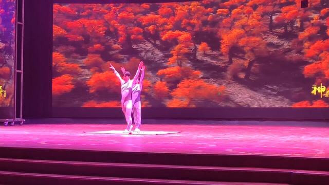 杂技表演:双人技巧#台上一分钟台下十年功#文艺汇演_高清1080P在线观看平台_腾讯视频