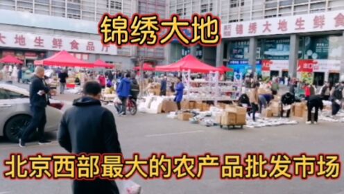 锦绣大地北京西部最大农产品批发市场，探访为首都服务的菜篮子