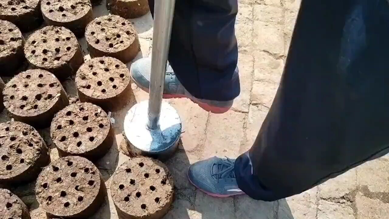 牛粪变成蜂窝煤 环境治理有妙招