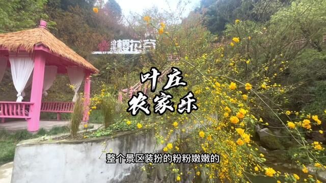 来彭州葛仙山不知道怎么玩儿的!这条路线你听听看怎么样#四川惠吃惠玩