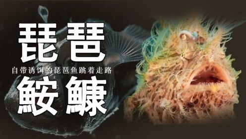 自带诱饵的琵琶鱼跳着走路,鱼类中的大渣鱼_高清1080P在线观看平台_腾讯视频
