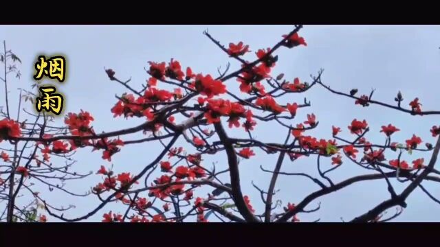 《烟雨》曲:凉月 埙:杨嘉 后期:啊华