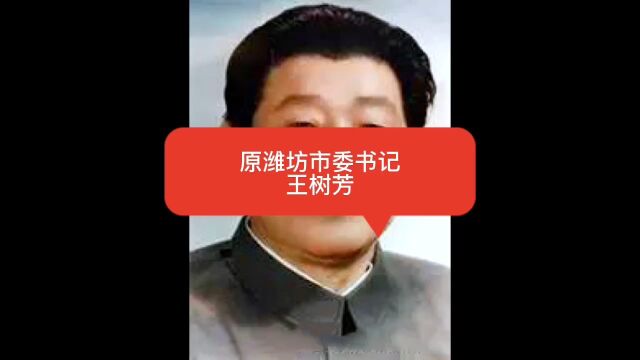 潍坊市原市委书记——王树芳