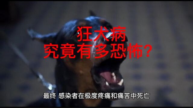 科普:狂犬病究竟有多恐怖?为何死亡率高达100%,又该如何预防?