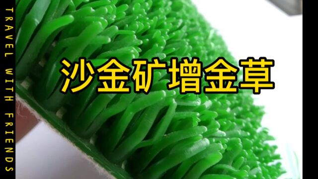 沙金矿增金草(淘金草)2023年最新介绍说明