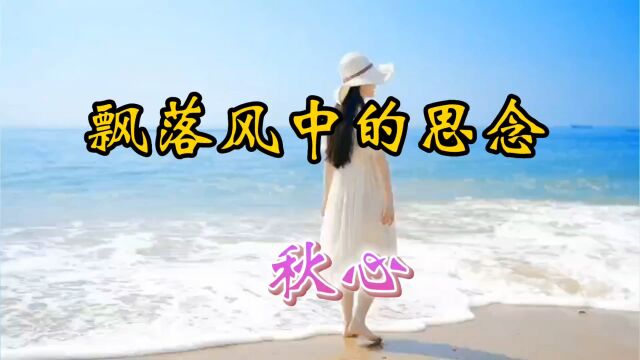 秋心《飘落风中的思念》深情演绎,优美流畅.好听,情动心醉了