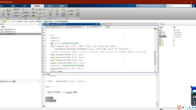 视频讲解MATLAB的结构体数据类型