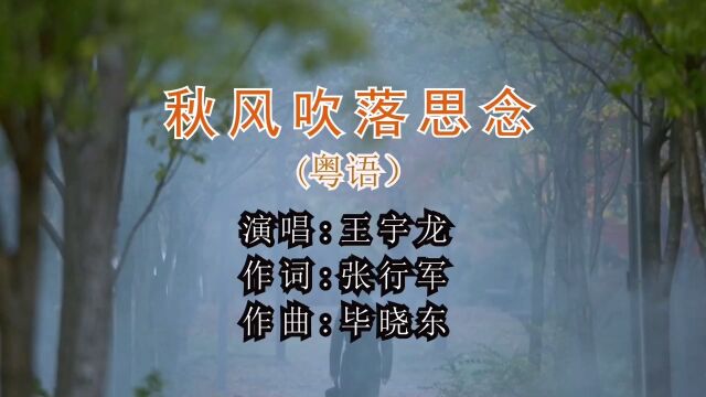 秋风吹落思念 演唱:王宇龙 作词:张行军 作曲:毕晓东