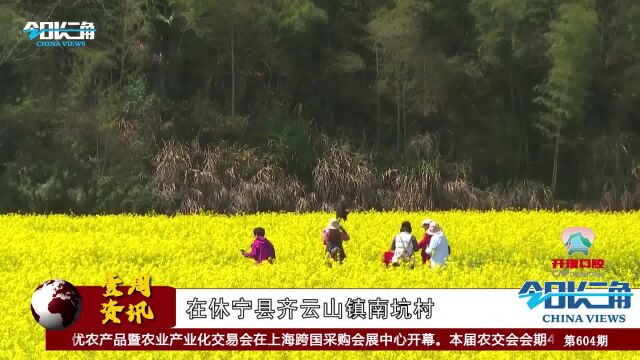 《今日长三角》节目第604期||2023年中国黄山油菜花摄影旅游季暨新安江源头绿色发展全国摄影大展盛大启动