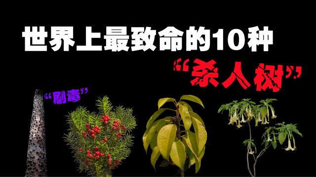 世界上最致命的10种“杀人树”,比砒霜还要可怕的致命毒物!