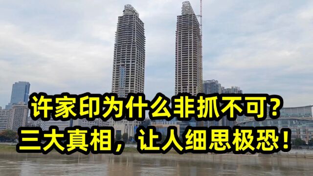 许家印为什么非抓不可?三大真相,让人细思极恐!