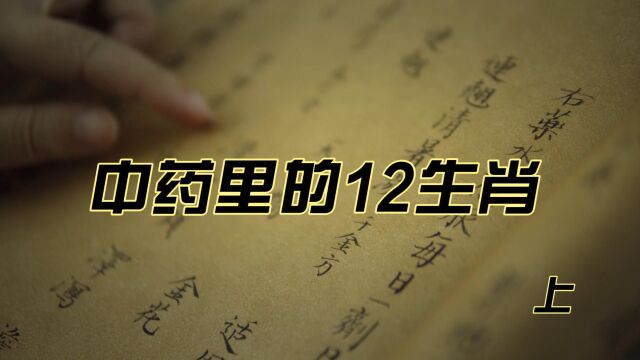 中药里的12生肖,你认识几个?