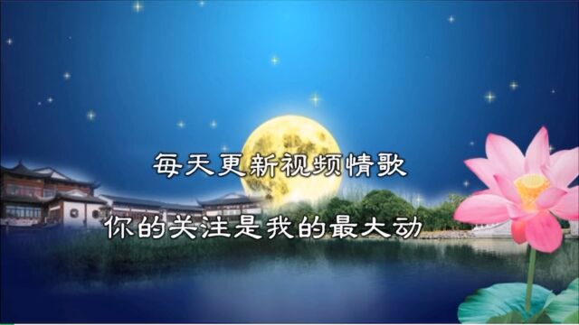 一首动听情歌《怎么爱都爱不够》Dj舞曲,醉人心扉,超级好听!