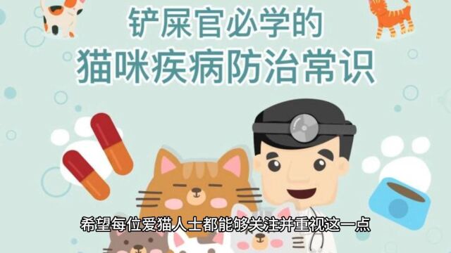 猫咪打疫苗:保护你的小宠之物