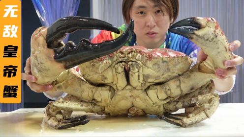 重10公斤，9000元的皇帝蟹，你觉得能掏出多少蟹黄，该怎么吃？