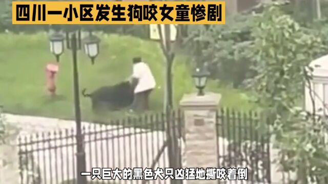 狗咬女童事件敲响警钟:加强犬只训练社会化