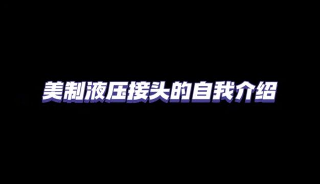 美制液压接头的自我介绍