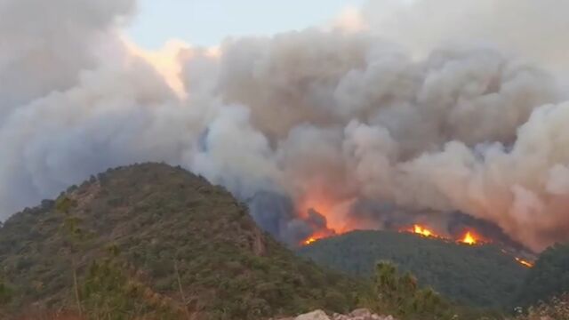 云南玉溪通报江川区山火起火原因:系当地村民违规野外用火所致