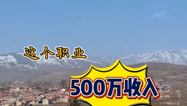 这个职业很多人都看不上,但是却有近500万元的收入