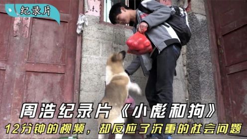 周浩纪录片《小彪和狗》：12分钟的视频，却反应了沉重的社会问题