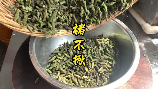 河南蒸菜构不揪 #蒸菜 #构树穗