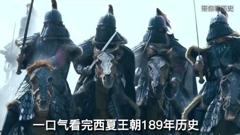 一口气看完西夏189年历史，从李元昊称帝建国到蒙古铁骑踏平西夏