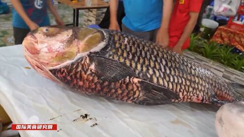 150斤的巨型鲤鱼，用电锯切割，那场面，你见过吗？