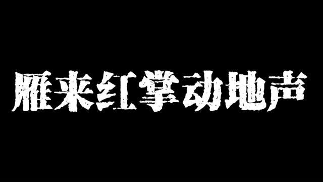 中国著名历史典故,古代诗人孟郊与李白的故事,雁来红掌动地声