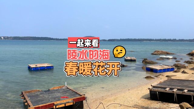 家门前的海