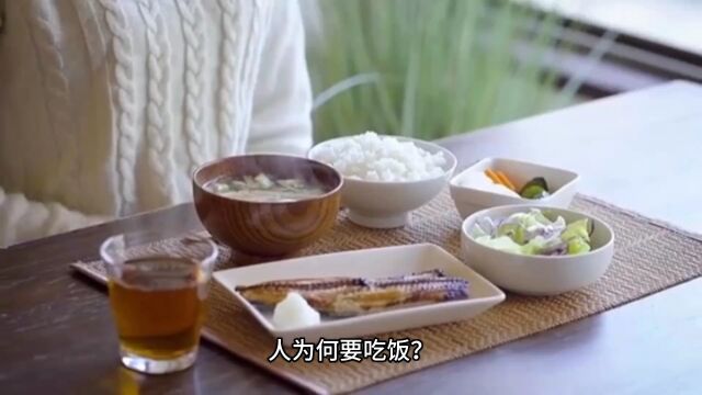 人为何要吃饭?