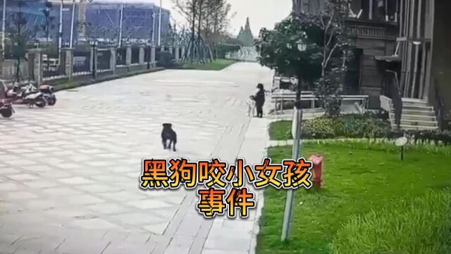 四川成都崇州市黑狗咬小女孩事件!