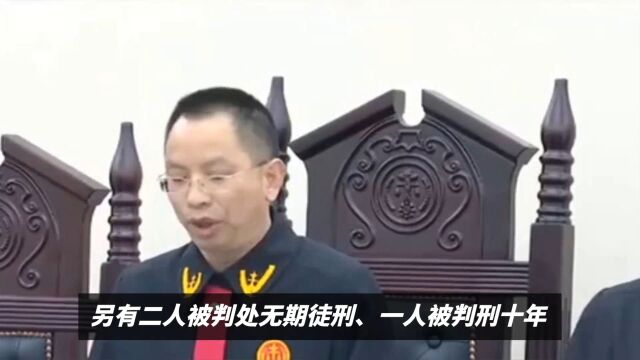 大快人心!梅姨案两名主犯被执行死刑!