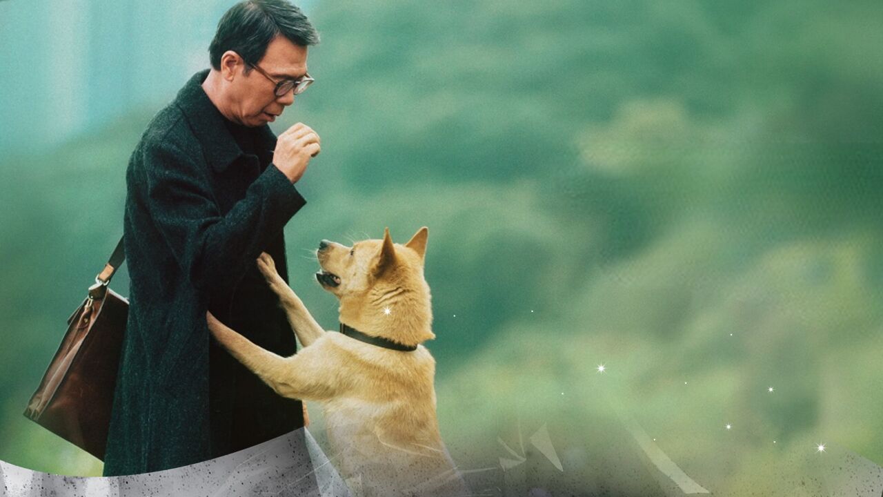 《忠犬八公》狗狗的"爱与忠诚"赚足了眼泪,太感人了!