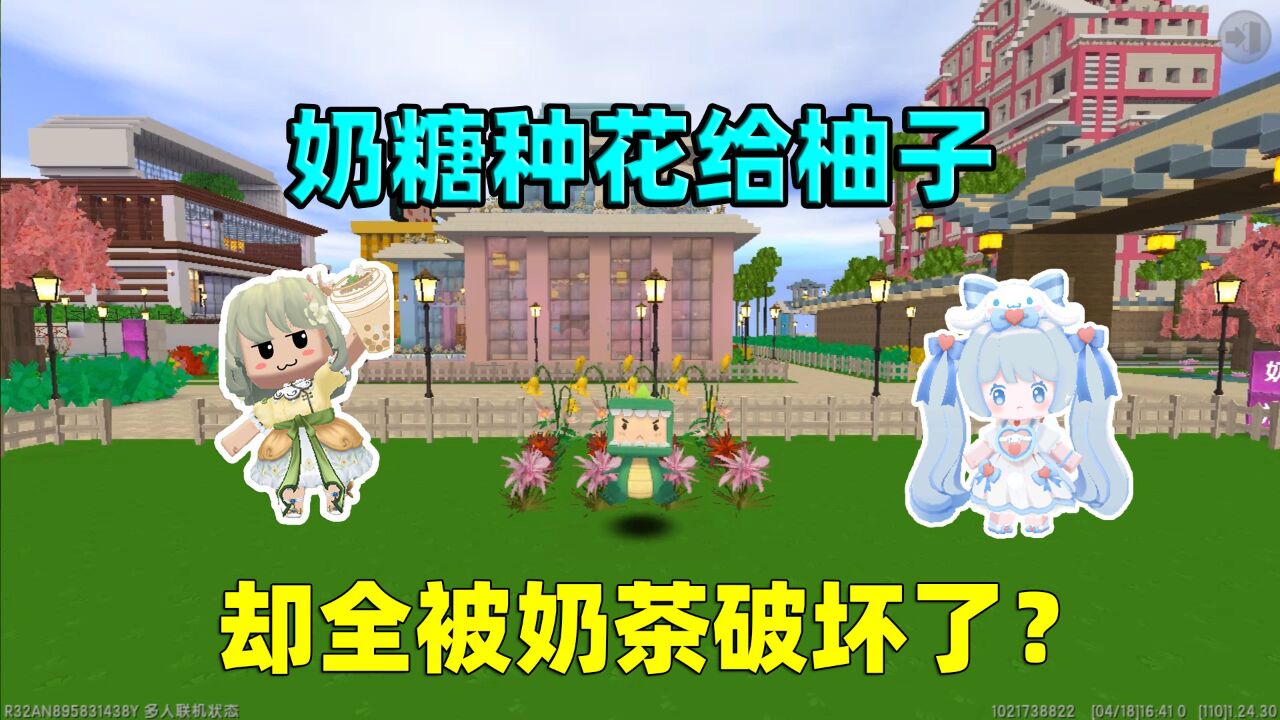 迷你世界:奶糖惹柚子生气!种花哄柚子开心,却都被奶茶破坏了?