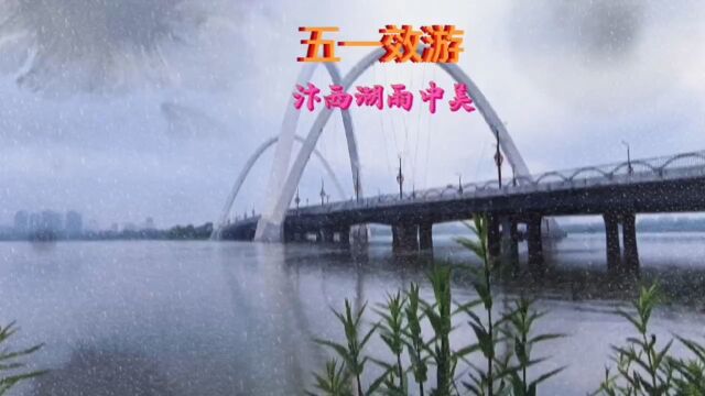 汴西湖雨中美景