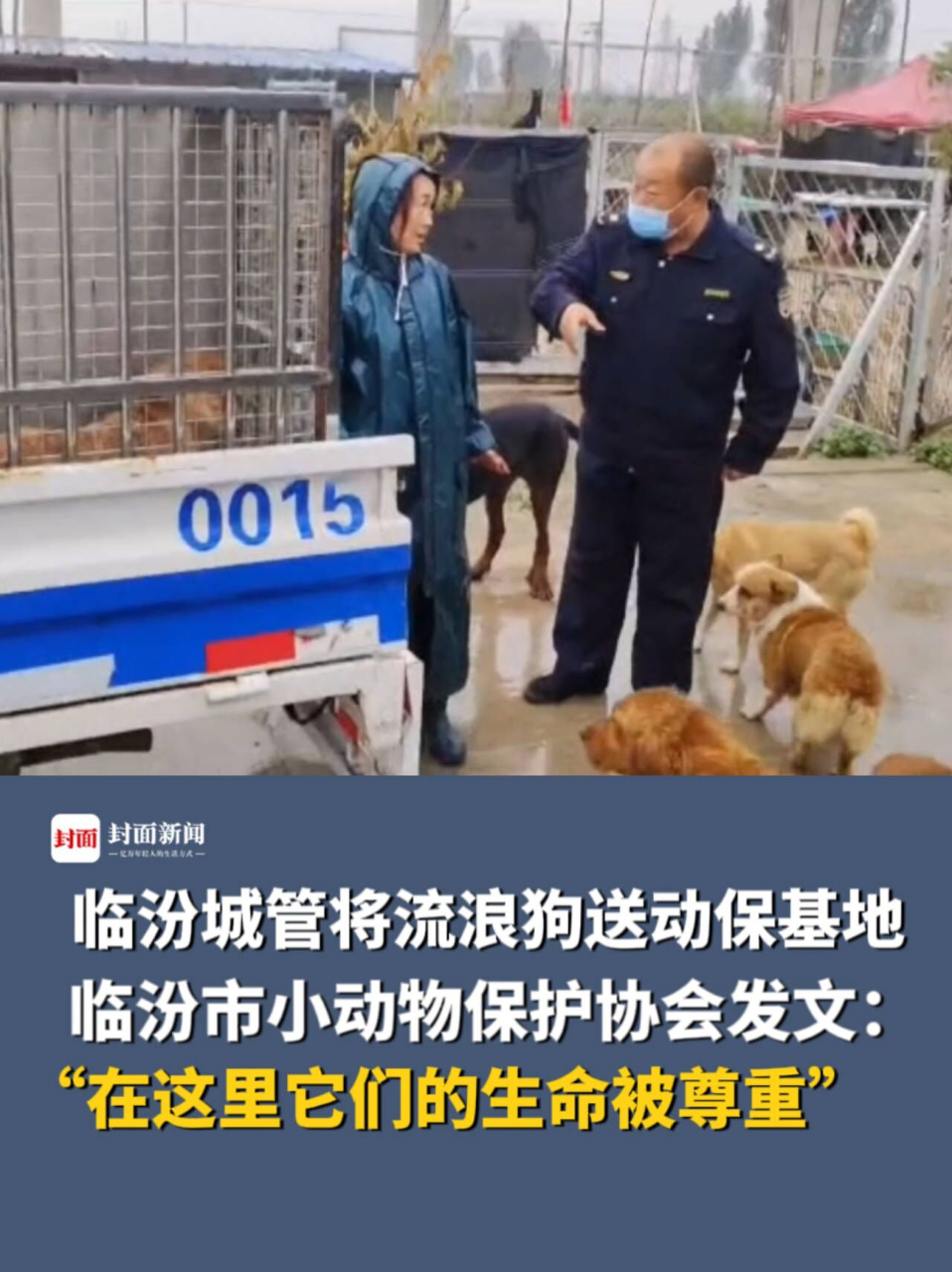 山西临汾城管回应将流浪狗送动物保护基地
