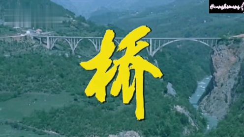 《桥》又名《瓦尔特保卫萨拉热窝》二战影视作品，卫国战争电影！
