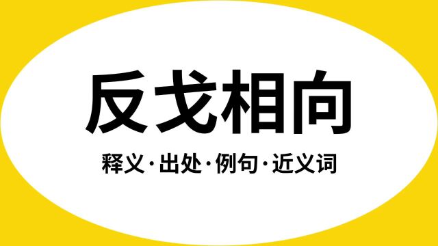 “反戈相向”是什么意思?