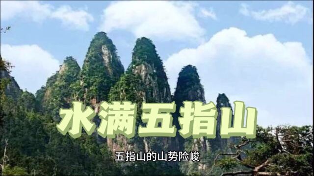 五指山热带雨林