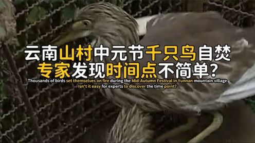 云南山村中元节群鸟自焚，亡鸟都来自外地，专家研究发现不简单