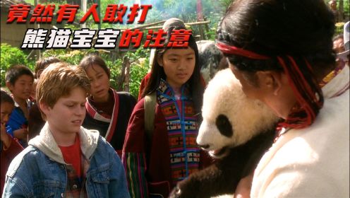 熊猫历险记总：外国男孩为了护送熊猫宝宝回家，历经千难万阻也不怕